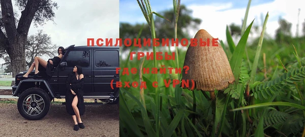 меф Майский