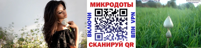 Псилоцибиновые грибы Magic Shrooms  Купить  Алупка 